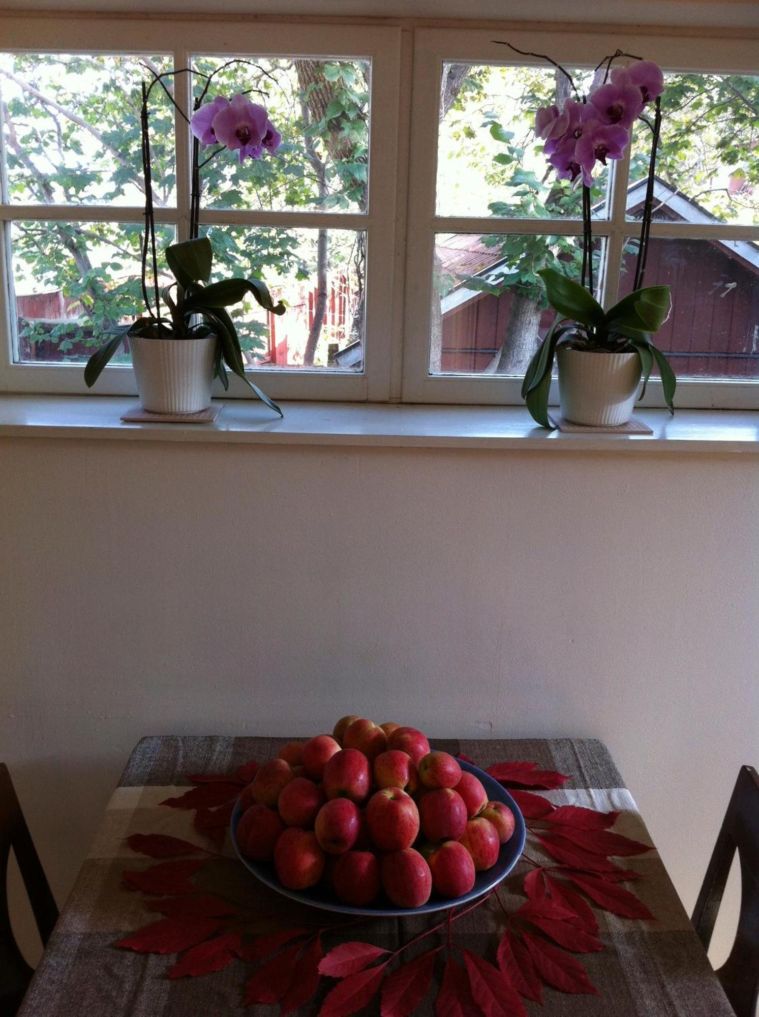 נאקה Stockholm B&B Cottage חדר תמונה