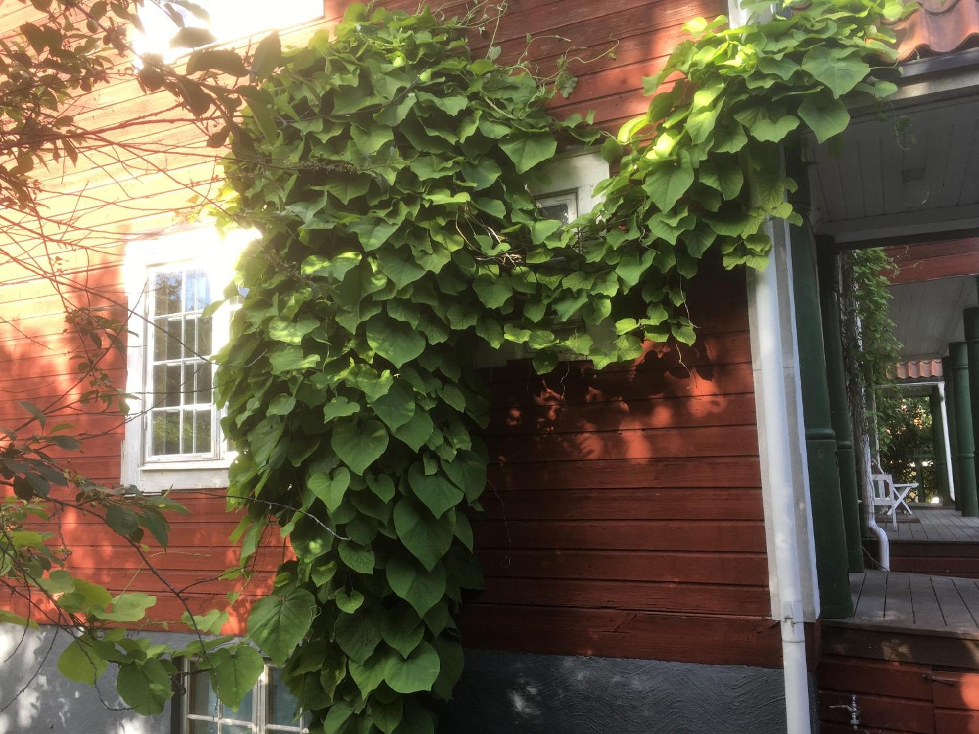 נאקה Stockholm B&B Cottage חדר תמונה