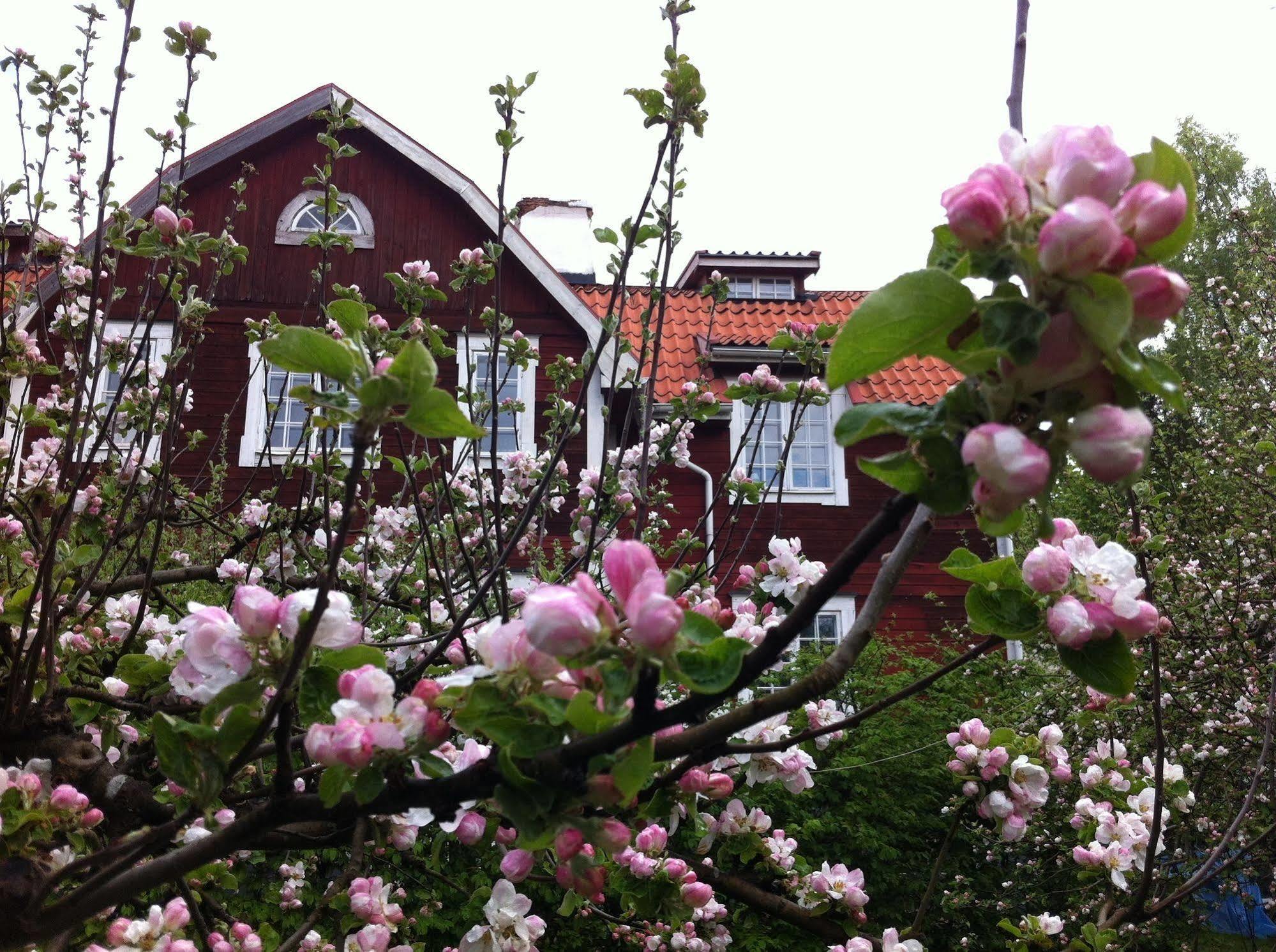 נאקה Stockholm B&B Cottage מראה חיצוני תמונה